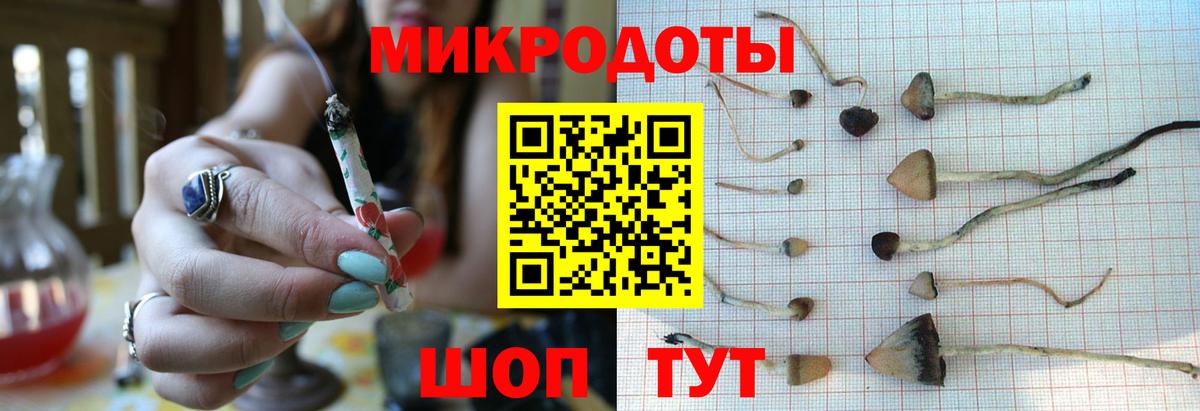 Похвистнево  Псилоцибиновые грибы MAGIC MUSHROOMS  Вход с VPN 