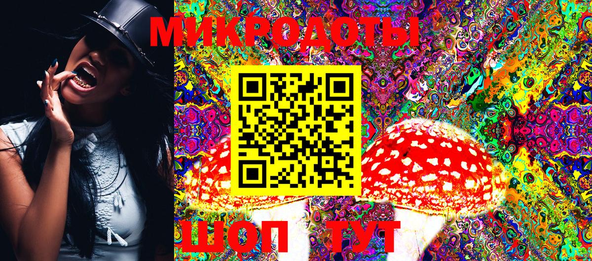 Галлюциногенные грибы Psilocybine cubensis Похвистнево